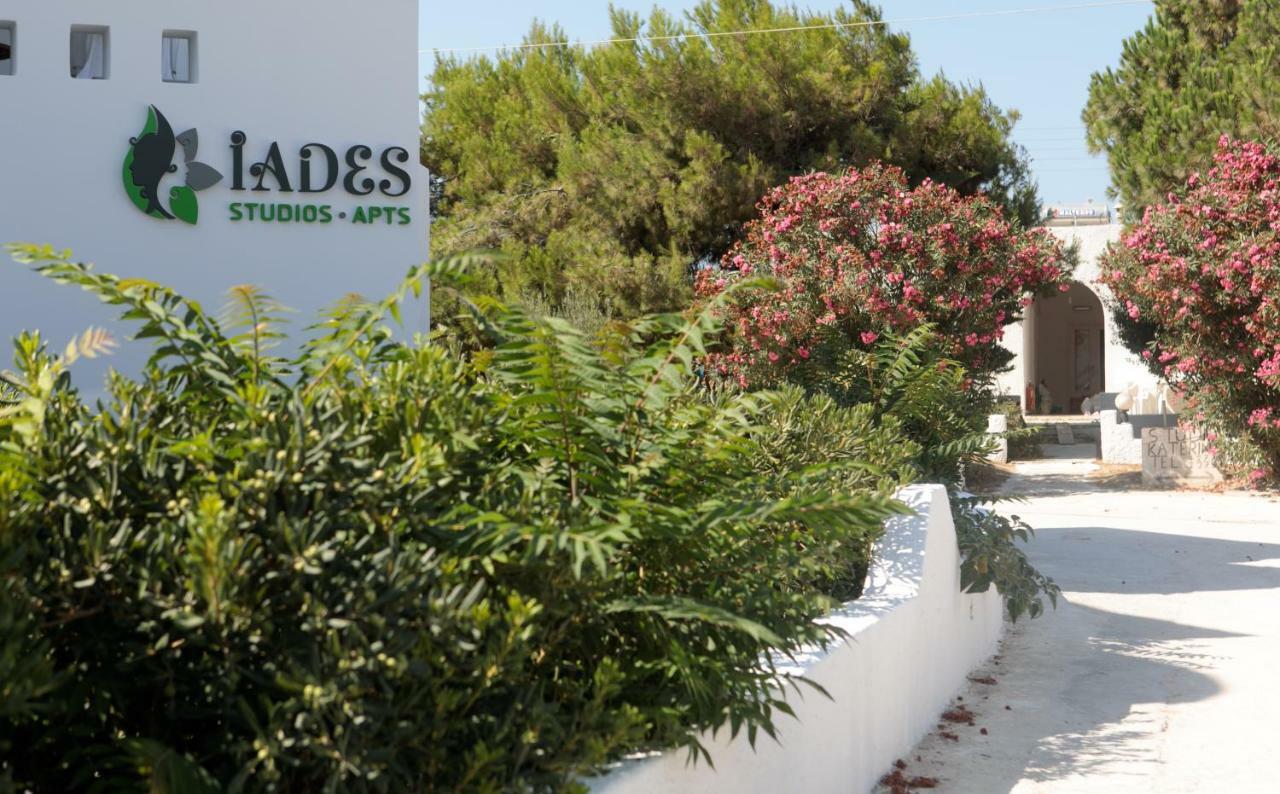 Iades Studios & Apartments Agia Anna  Exteriér fotografie